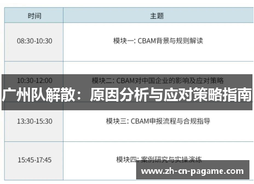 广州队解散：原因分析与应对策略指南