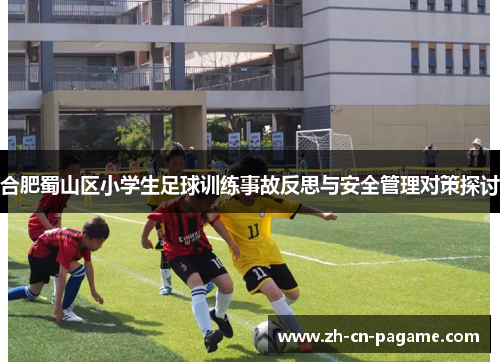 合肥蜀山区小学生足球训练事故反思与安全管理对策探讨