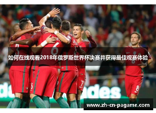 如何在线观看2018年俄罗斯世界杯决赛并获得最佳观赛体验