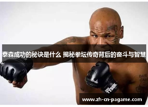 泰森成功的秘诀是什么 揭秘拳坛传奇背后的奋斗与智慧