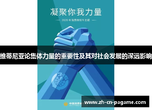 维蒂尼亚论集体力量的重要性及其对社会发展的深远影响
