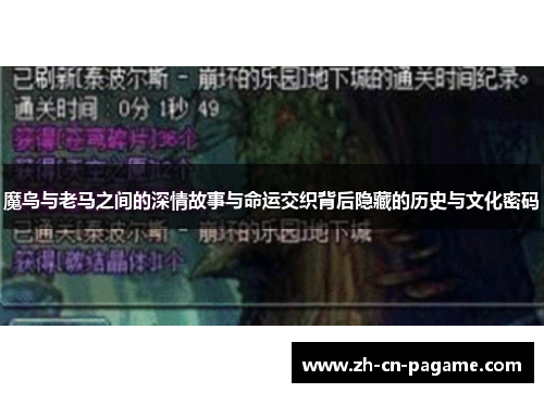 魔鸟与老马之间的深情故事与命运交织背后隐藏的历史与文化密码